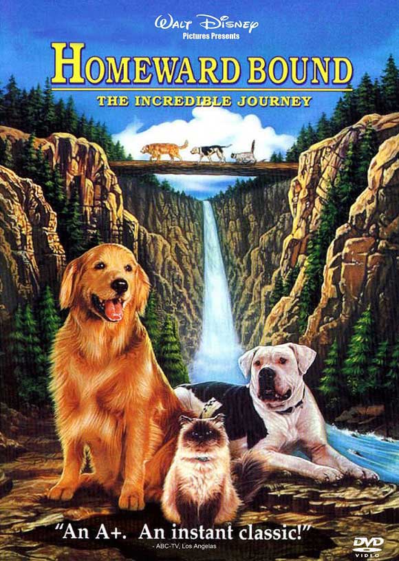 Homeward Bound Movie Poster