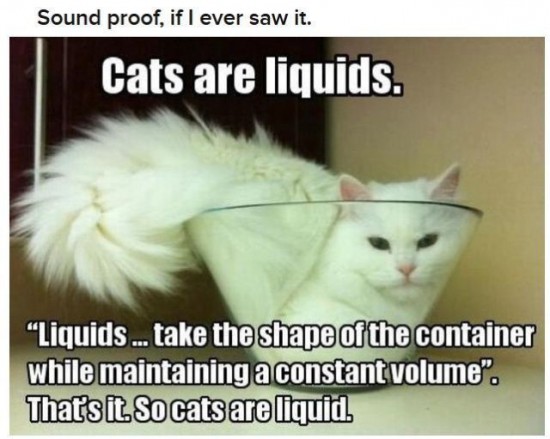 Funny-and-Clever-Science-Jokes-011-550x4