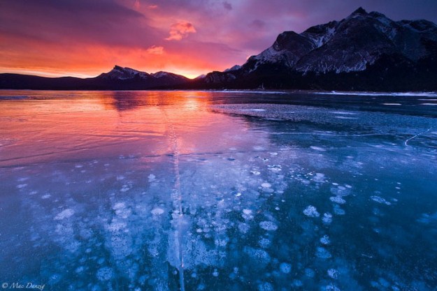 Incredible-ice-bubbles-in-Lake-Abraham-008