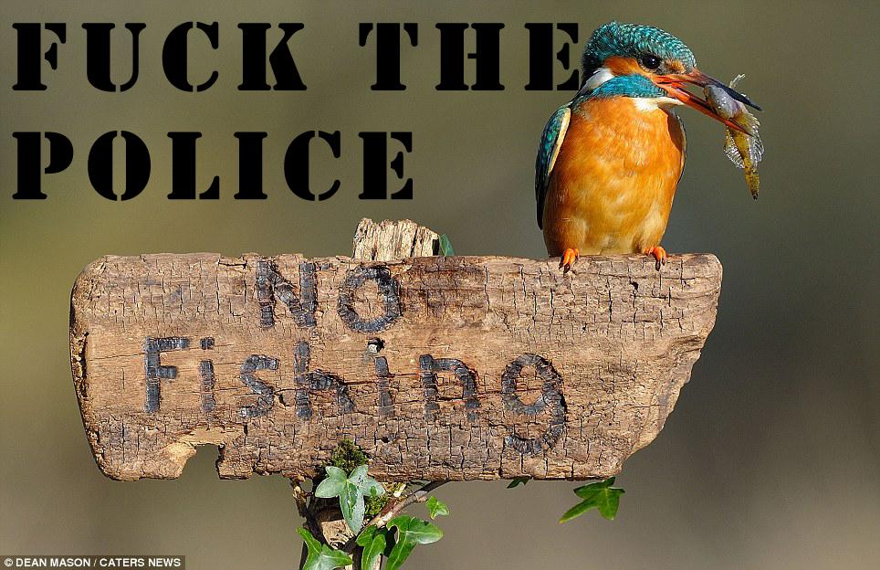 First World Anarchists 14