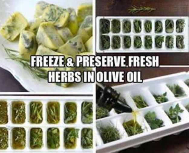 Now-That-is-a-Brilliant-Idea-004