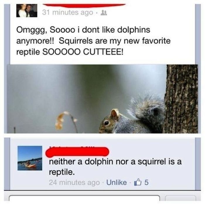 Dumb-things-that-happened-in-2013-002