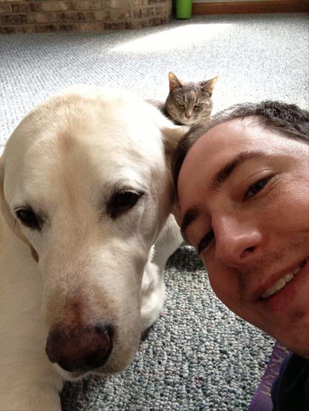You’ve Been Photobombed 018