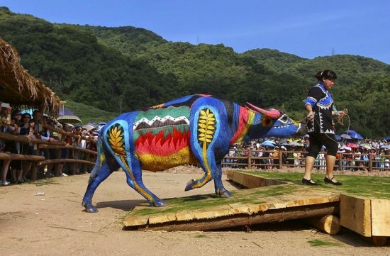 Buffalo Bodypainting Competition in China 002