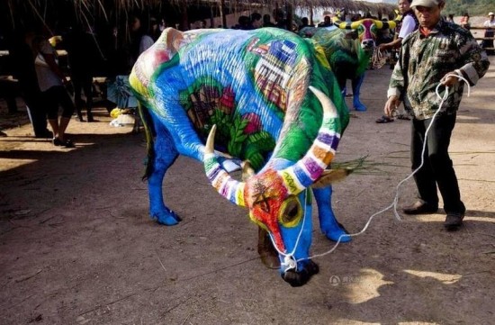 Buffalo Bodypainting Competition in China 007