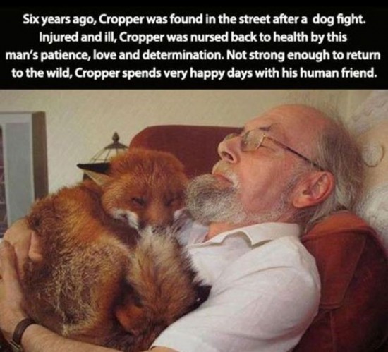 The Special Relationship Between Humans and Animals (26 Photos) - FunCage