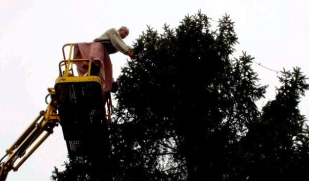 This-Small-Christmas-Tree-Grew-to-Amaze-the-Whole-Town-002