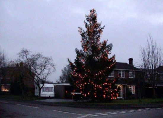 This-Small-Christmas-Tree-Grew-to-Amaze-the-Whole-Town-003