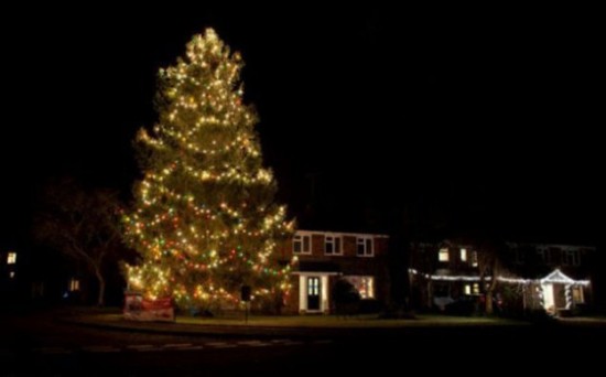 This-Small-Christmas-Tree-Grew-to-Amaze-the-Whole-Town-005