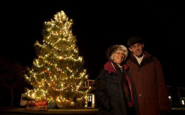 This-Small-Christmas-Tree-Grew-to-Amaze-the-Whole-Town-006