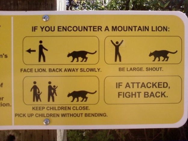 Funny Animal Signs 24 Photos FunCage