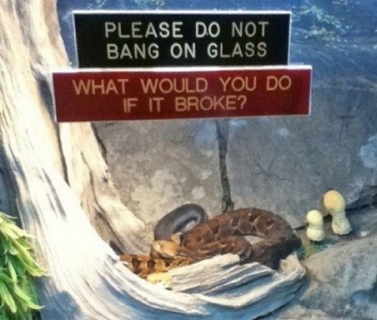 Funny-Animal-Signs-010