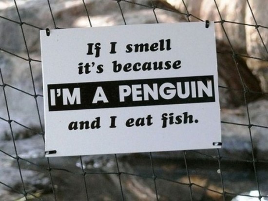 Funny-Animal-Signs-020