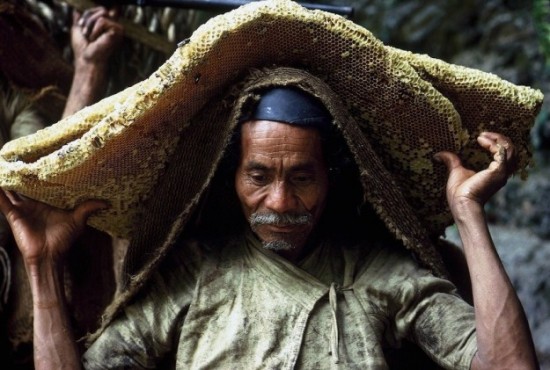 Honey-gatherers-in-Nepal-004