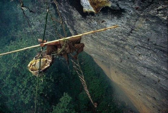 Honey-gatherers-in-Nepal-005