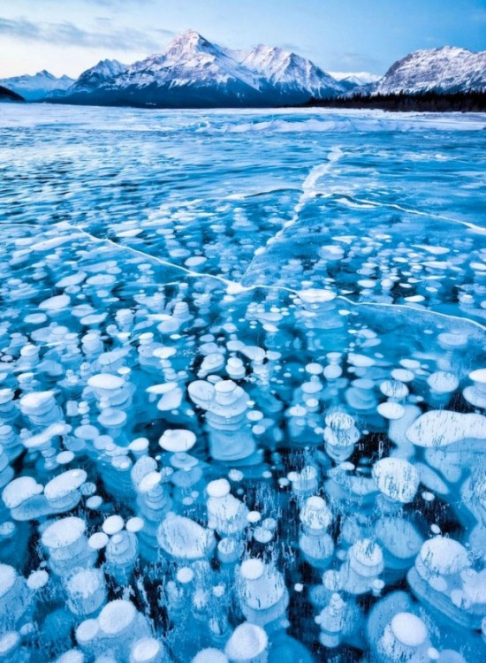 Incredible-ice-bubbles-in-Lake-Abraham-001