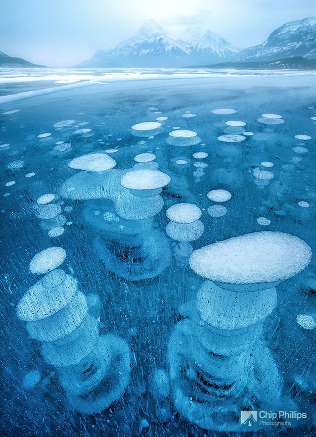 Incredible Ice Bubbles In Lake Abraham (8 Photos) - FunCage