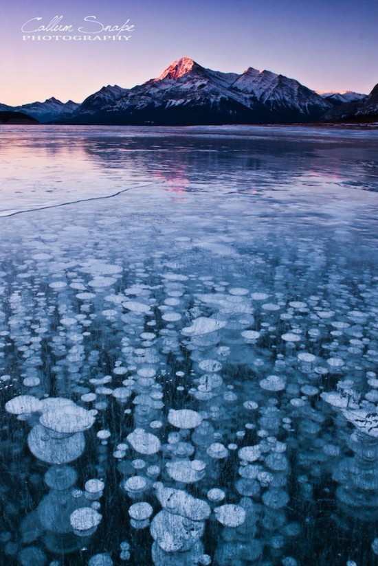 Incredible-ice-bubbles-in-Lake-Abraham-003