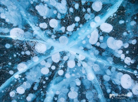Incredible-ice-bubbles-in-Lake-Abraham-004