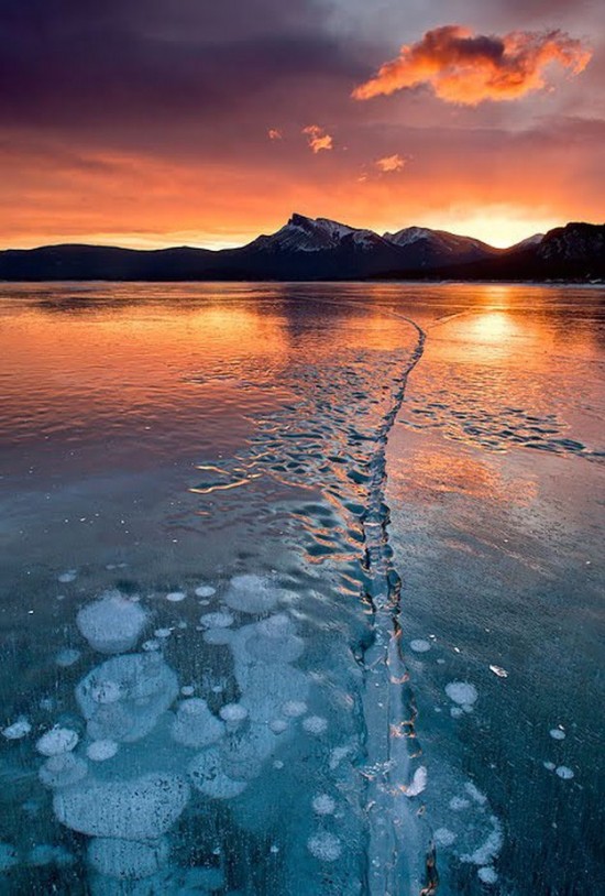 Incredible-ice-bubbles-in-Lake-Abraham-005