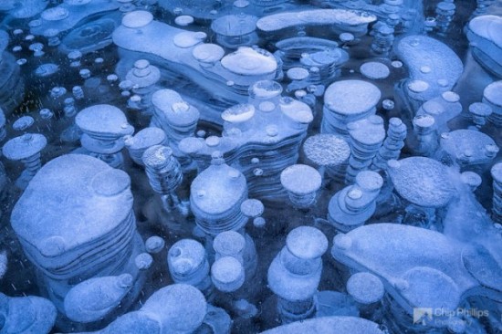 Incredible-ice-bubbles-in-Lake-Abraham-006