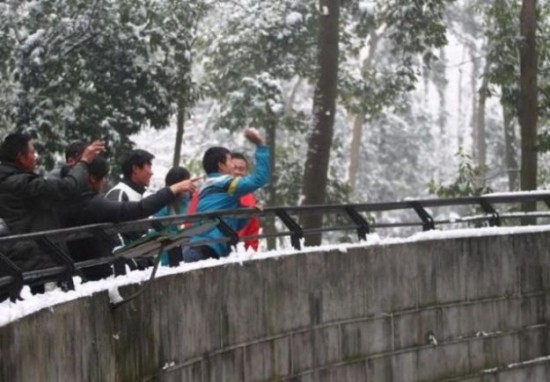Stupid-People-in-a-Chinese-Zoo-005