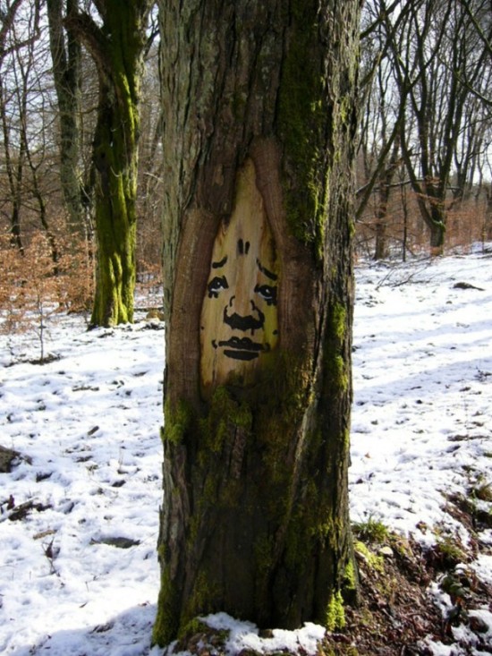 Funny-faces-in-the-forest-002