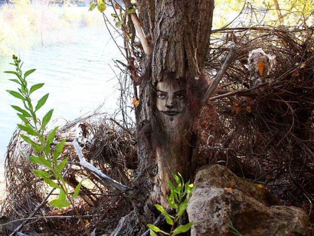 Funny-faces-in-the-forest-003