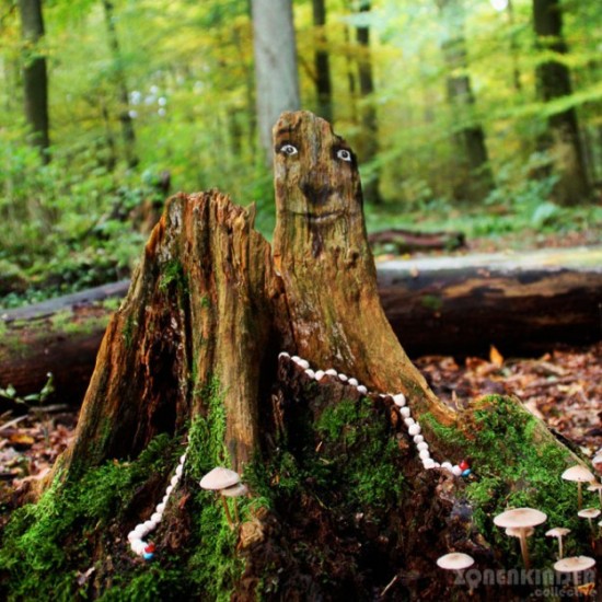 Funny-faces-in-the-forest-008