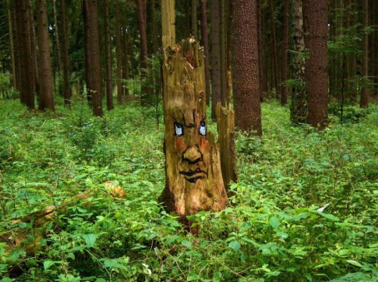 Funny-faces-in-the-forest-010