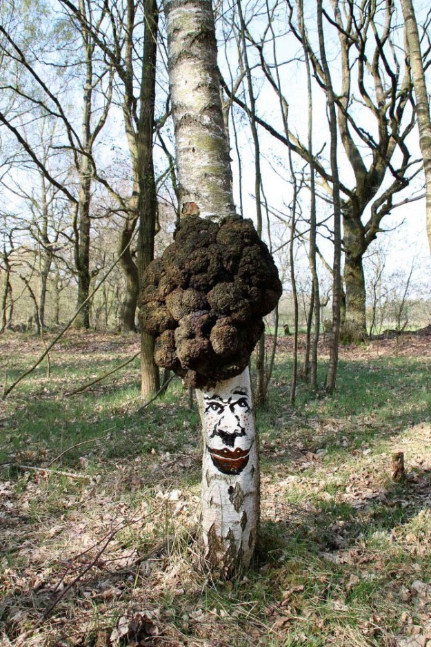 Funny-faces-in-the-forest-011