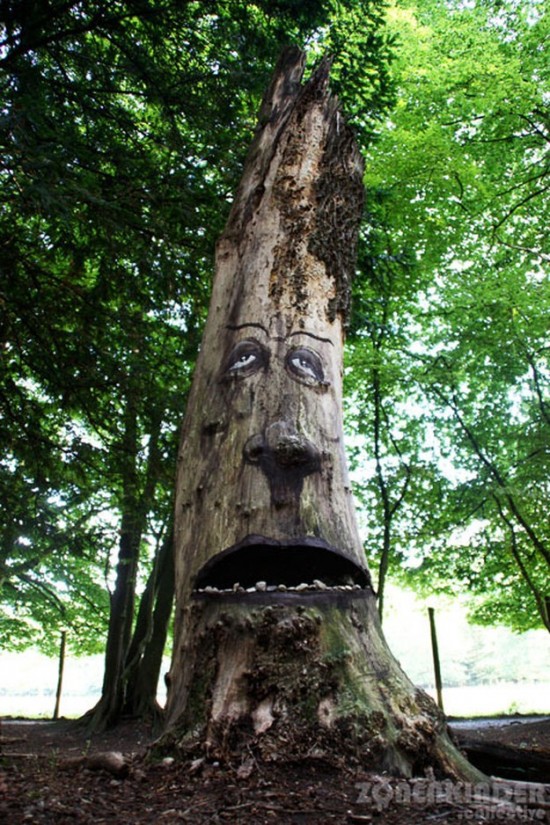 Funny-faces-in-the-forest-014