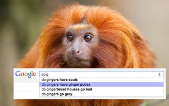 Google-Search-Suggests-the-Silliest-Things-002