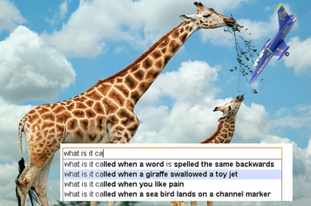 Google-Search-Suggests-the-Silliest-Things-008