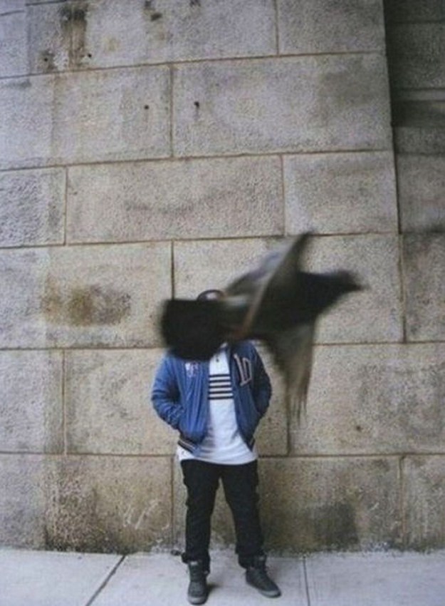 Proof-that-Pigeons-are-the-Coolest-Birds-Ever-007