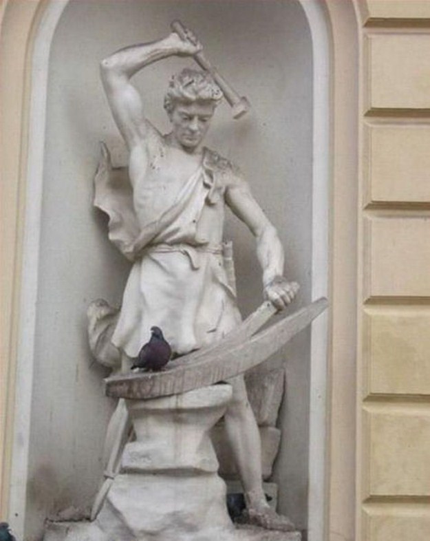 Proof-that-Pigeons-are-the-Coolest-Birds-Ever-018