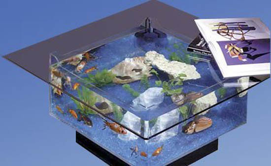 coffee table aquarium