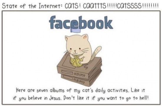 Cats-Help-Us-to-Understand-the-Internet-001