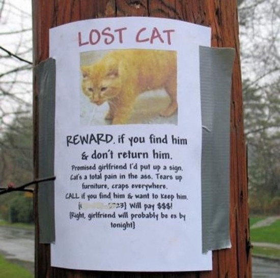 Clever-Variations-of-the-Average-Lost-and-Found-Sign-004