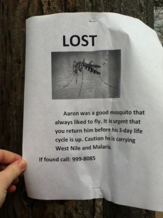 Clever-Variations-of-the-Average-Lost-and-Found-Sign-014