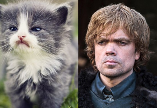 Game-Of-Thrones-Characters-as-Cats-0
