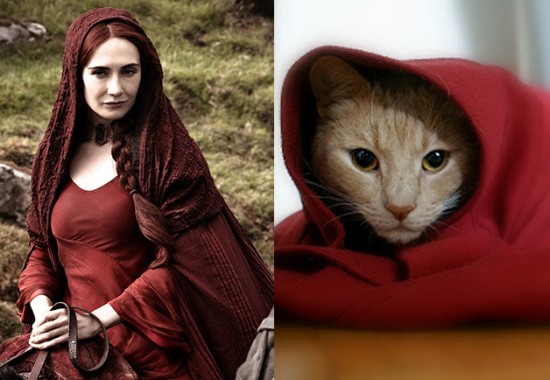 Game-Of-Thrones-Characters-as-Cats-1