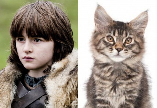Game-Of-Thrones-Characters-as-Cats-11
