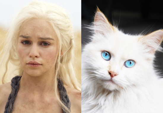 Game-Of-Thrones-Characters-as-Cats-16