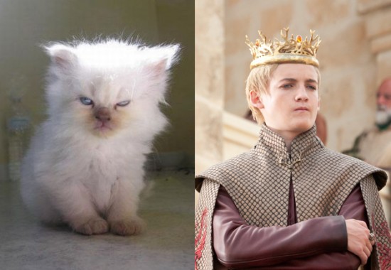 Game-Of-Thrones-Characters-as-Cats-5