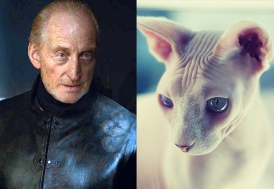 Game-Of-Thrones-Characters-as-Cats-7