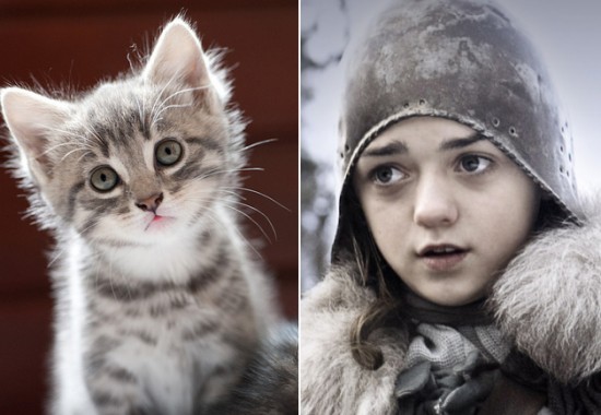 Game-Of-Thrones-Characters-as-Cats-9