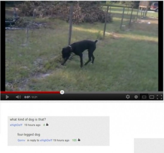Hilarious-and-Ironic-Comments-on-YouTube-015