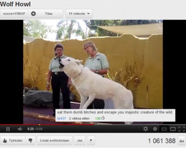 Hilarious-and-Ironic-Comments-on-YouTube-016