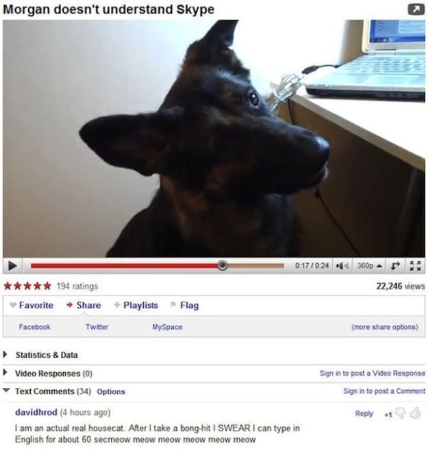 Hilarious-and-Ironic-Comments-on-YouTube-029